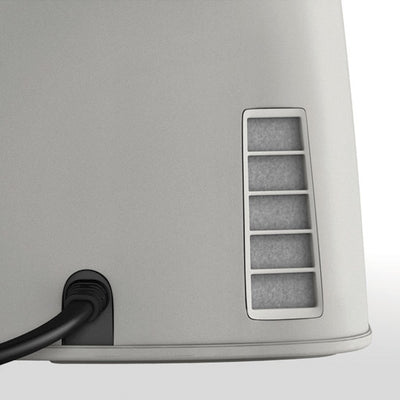 ICON / ICON+ Air Filters (2 Pack)